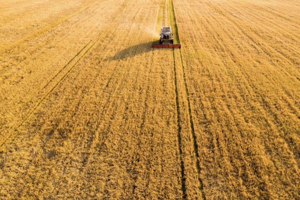 software voor graanhandel