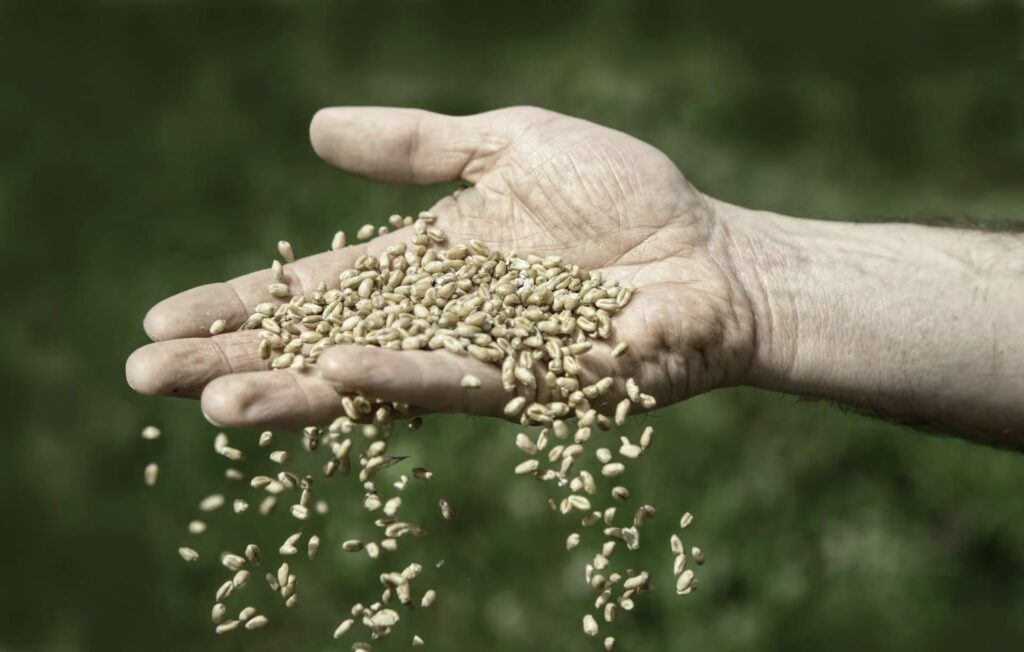 software voor graanhandel